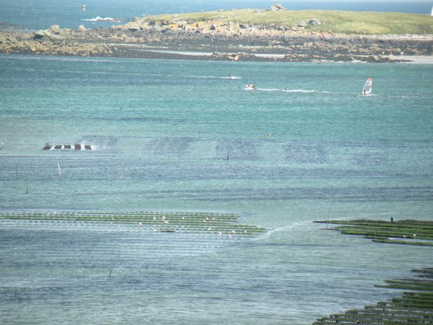  parcs à moules recouverts par la mer